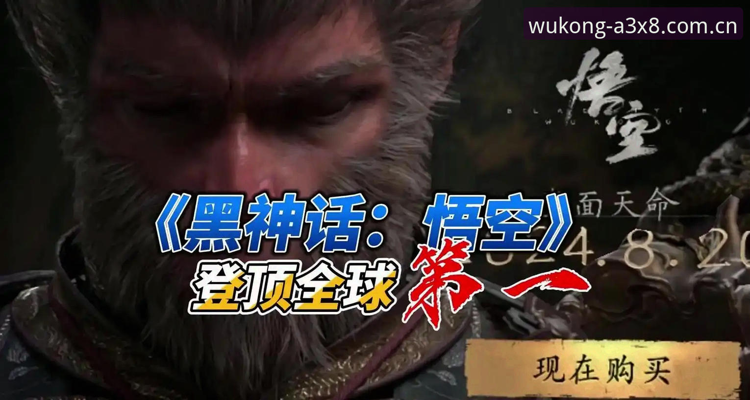 新手必看：悟空体育登录全流程实战心得，零延迟交互体验的秘密